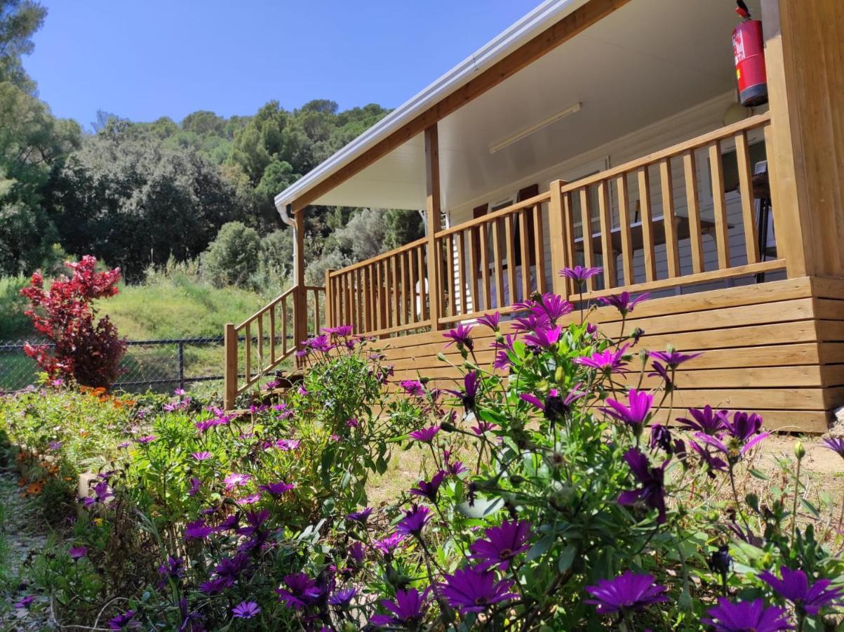 Camping Roca Grossa Calella Dış mekan fotoğraf