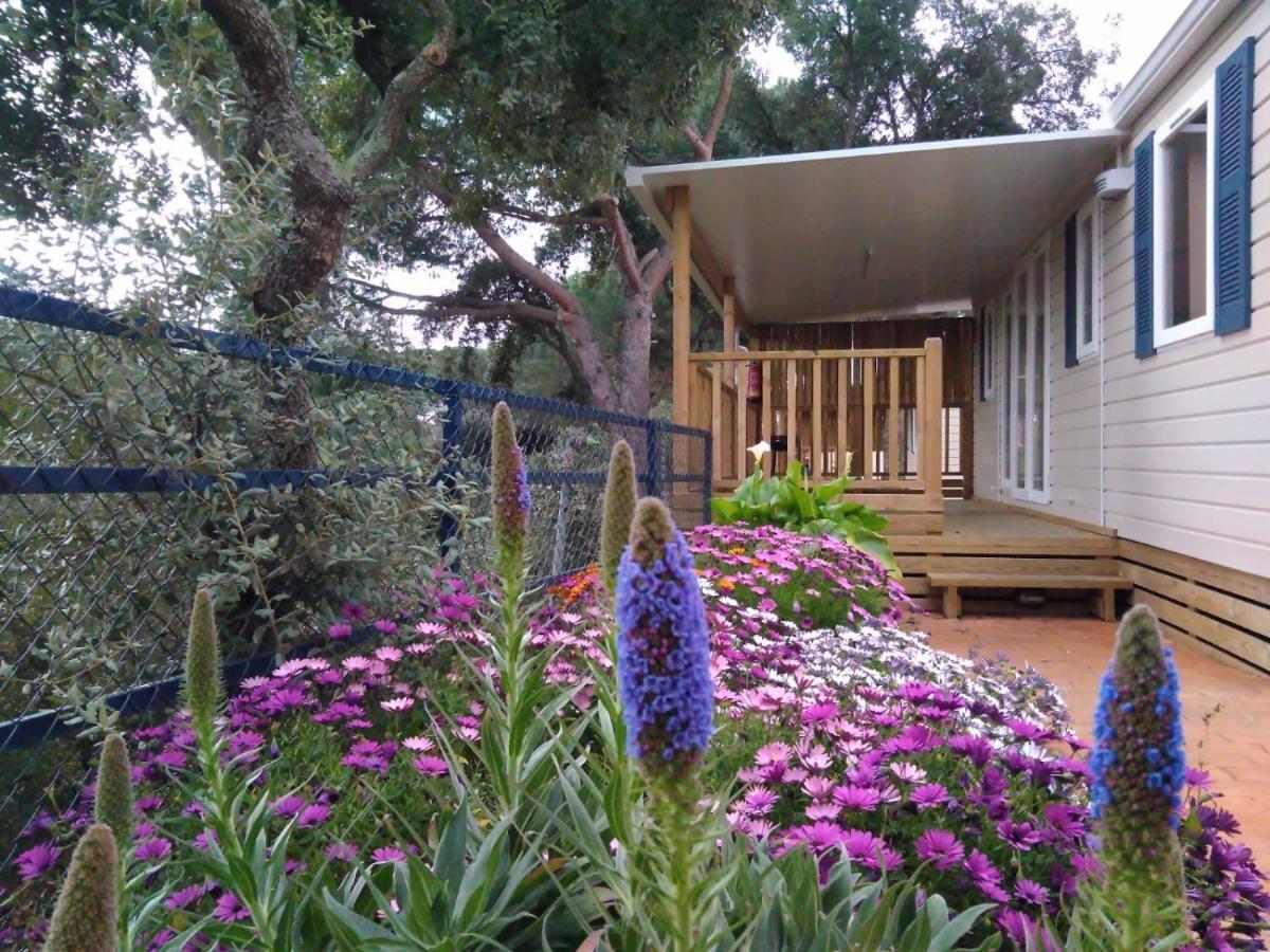 Camping Roca Grossa Calella Dış mekan fotoğraf