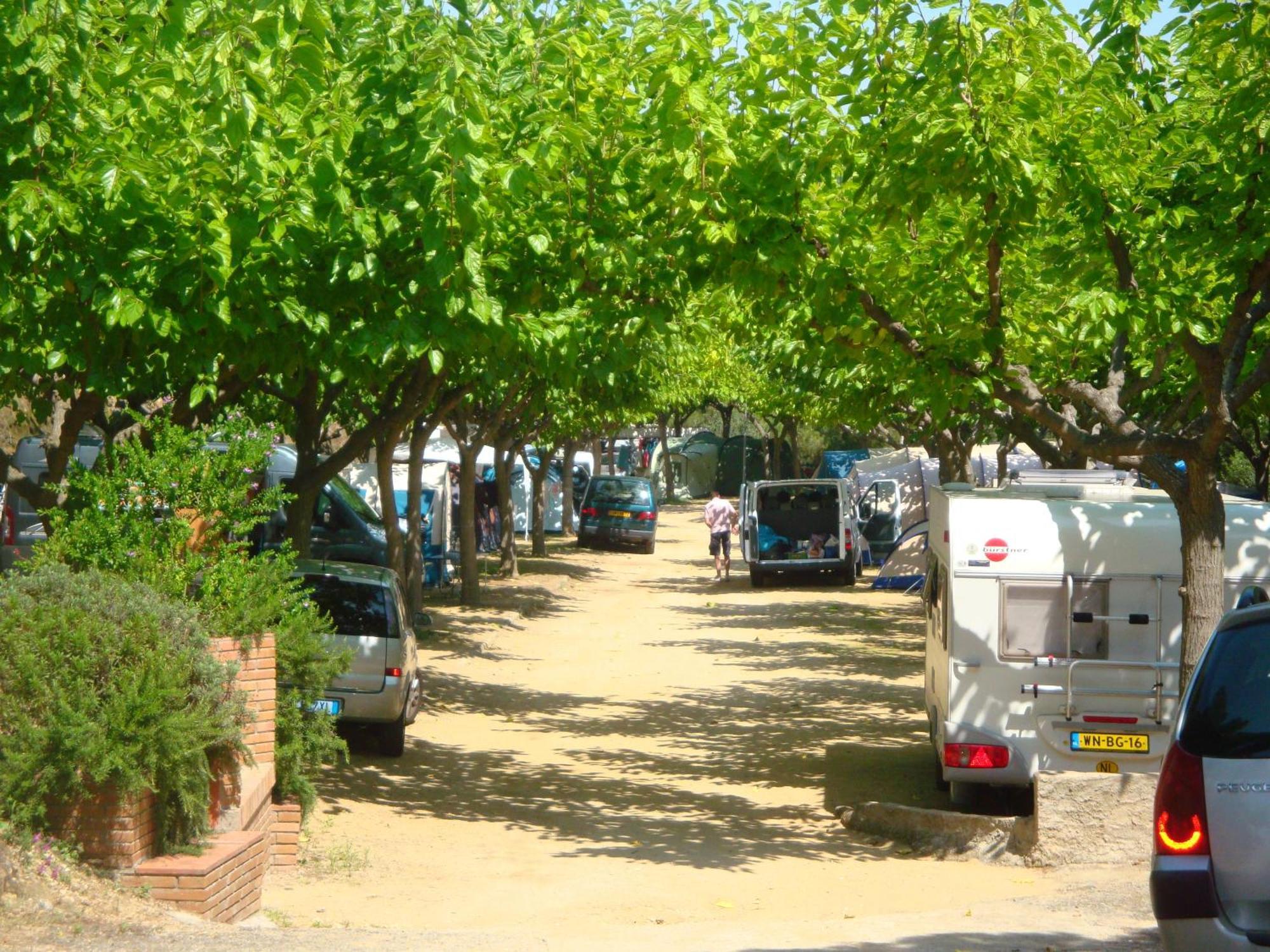 Camping Roca Grossa Calella Dış mekan fotoğraf